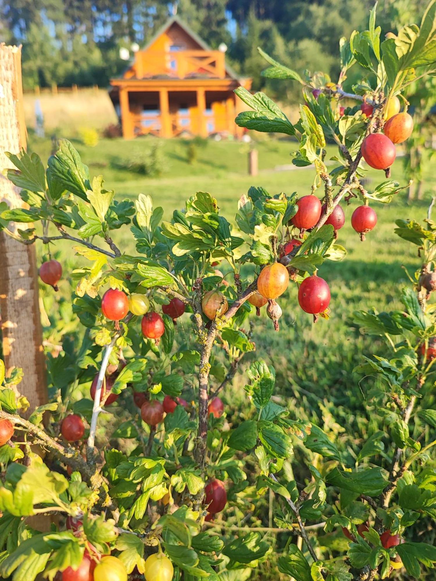 Domki Kolorowe Marciszow Exterior foto