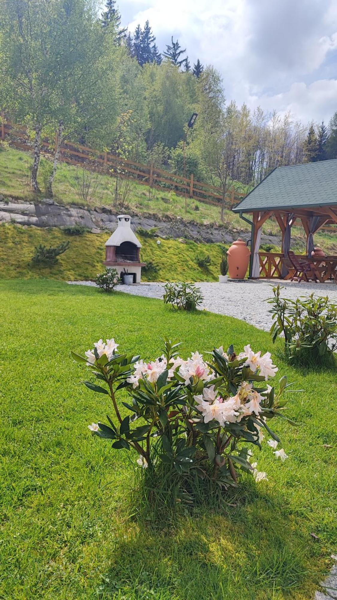 Domki Kolorowe Marciszow Exterior foto
